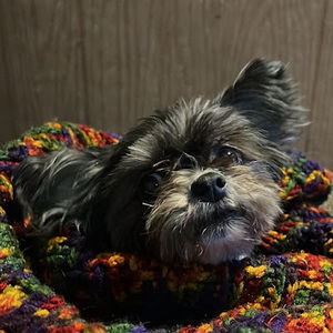 Meet your Posher, Tonya